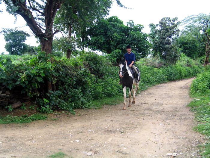 Aravalli Trail - Circuit à cheval dans le nord de l'Inde