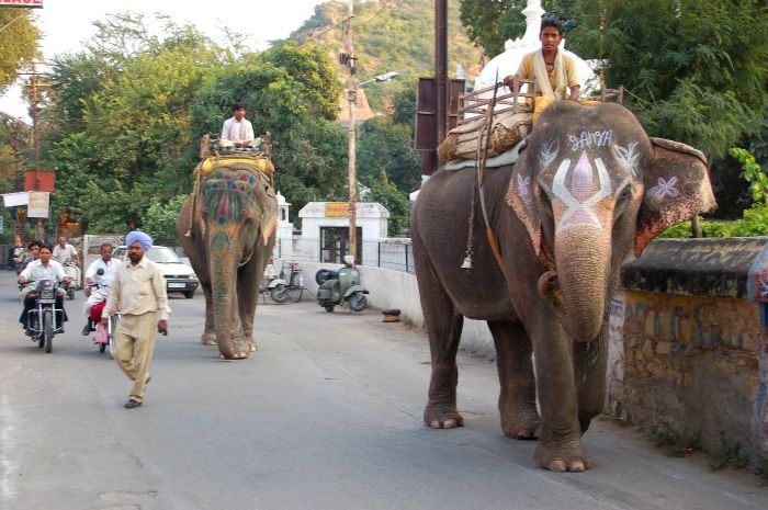 Aravalli Trail - Circuit à cheval dans le nord de l'Inde