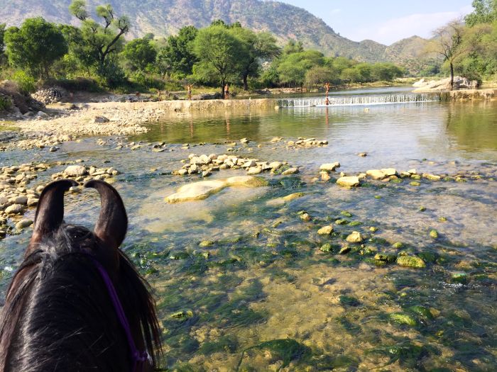 Aravalli Trail - Circuit à cheval dans le nord de l'Inde