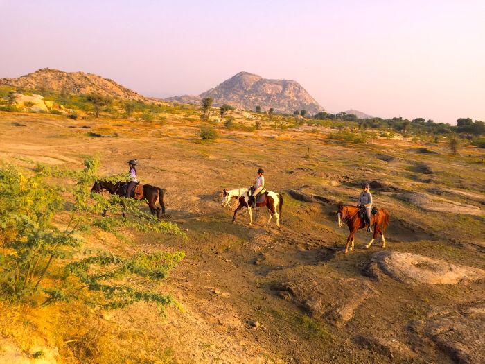 Aravalli Trail - Circuit à cheval dans le nord de l'Inde