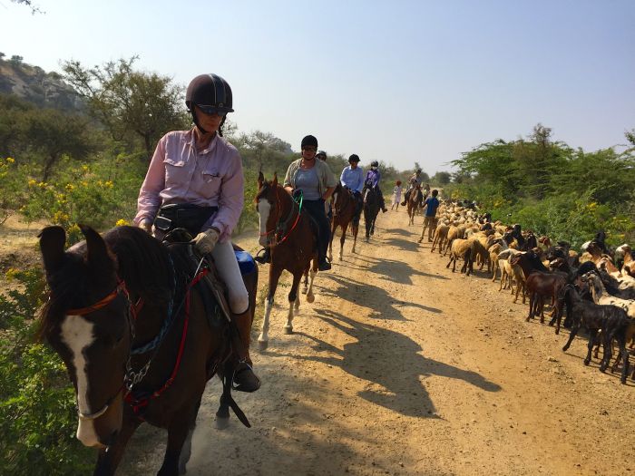 Aravalli Trail - Circuit à cheval dans le nord de l'Inde