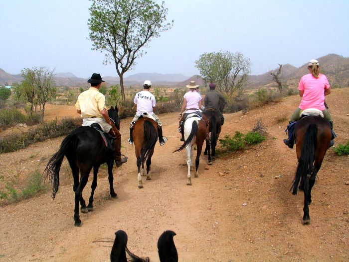 Aravalli Trail - Circuit à cheval dans le nord de l'Inde