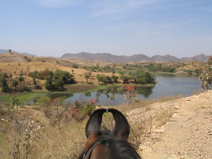 Aravalli Trail - Circuit à cheval dans le nord de l'Inde