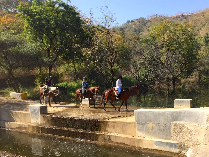 Aravalli Trail - Circuit à cheval dans le nord de l'Inde