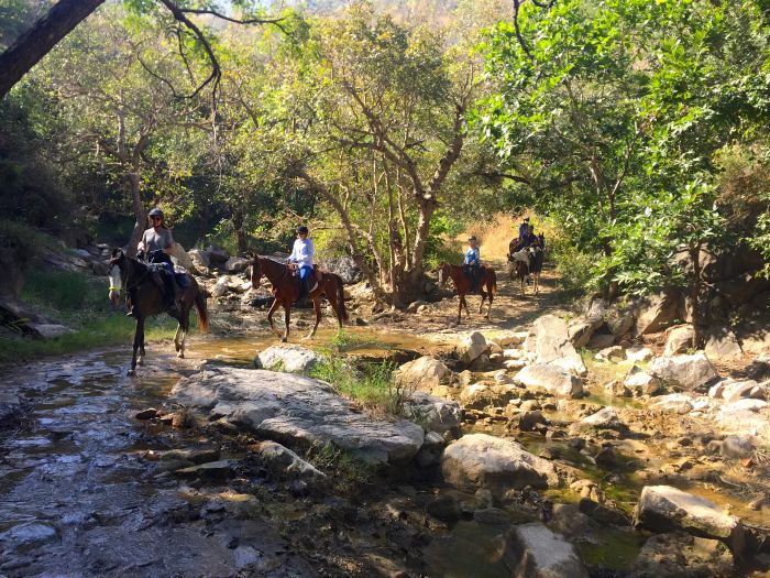 Aravalli Trail - Circuit à cheval dans le nord de l'Inde