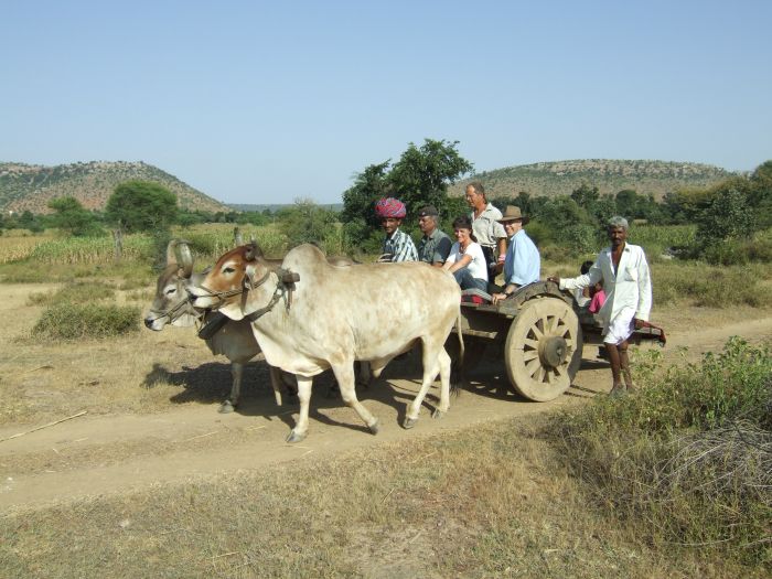 Trail des châteaux du Rajasthan