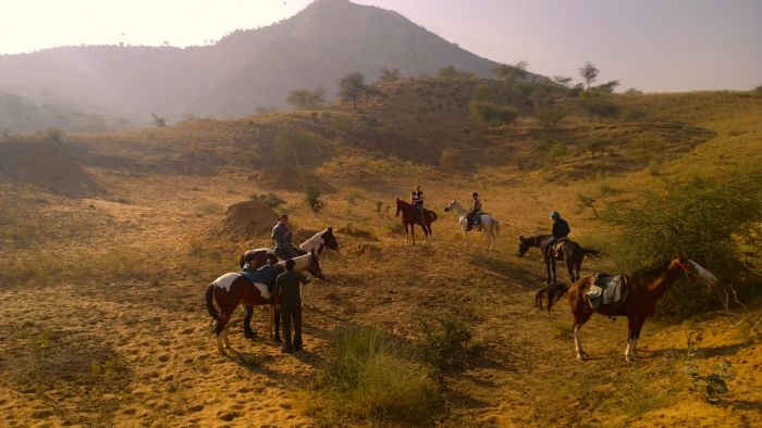 Trail des châteaux du Rajasthan