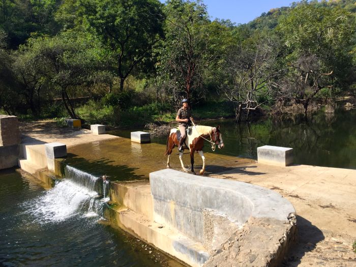 Trail des châteaux du Rajasthan