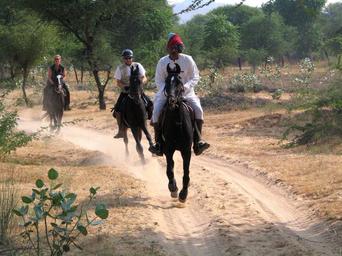 Trail des châteaux du Rajasthan