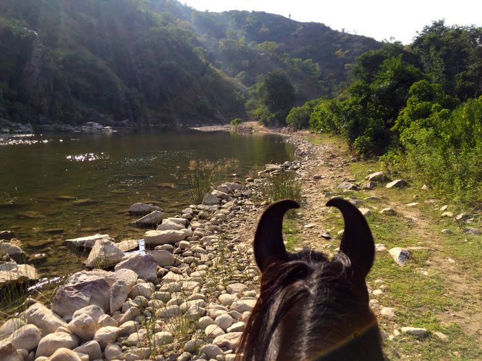 Trail des châteaux du Rajasthan