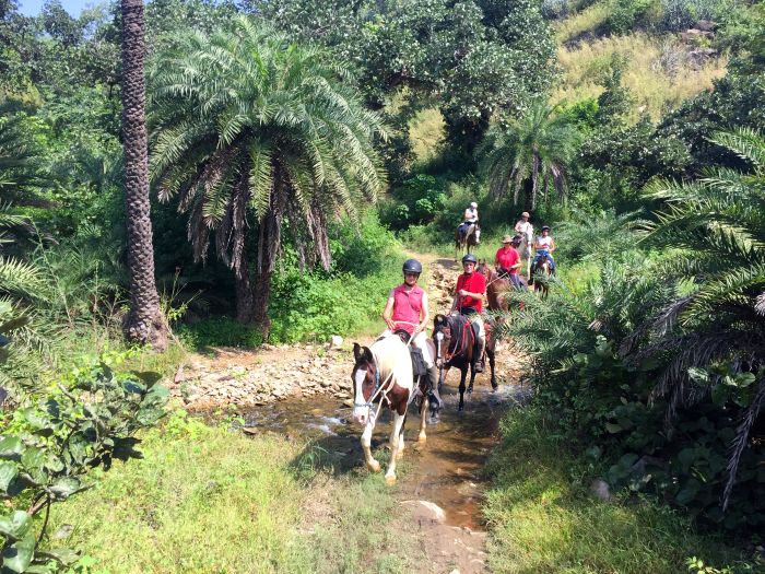 Trail des châteaux du Rajasthan