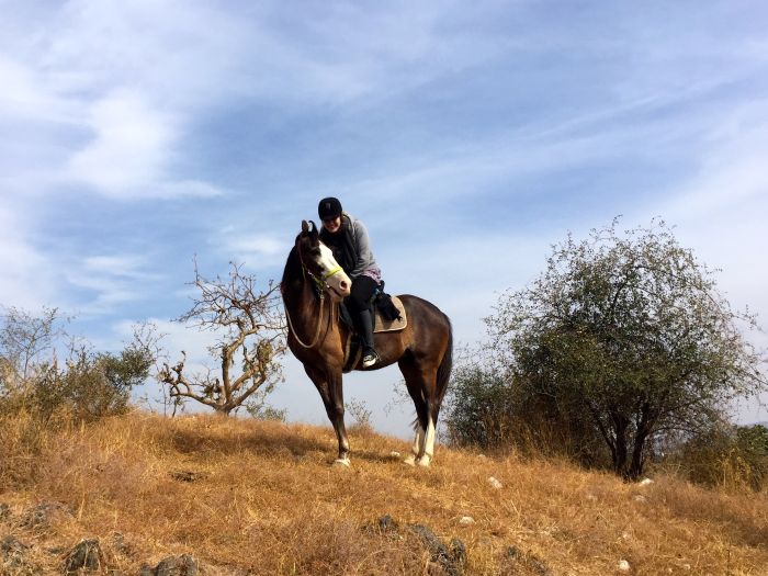 Trail des châteaux du Rajasthan