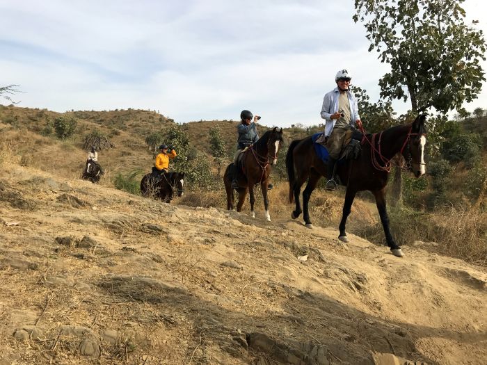 Trail des châteaux du Rajasthan