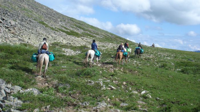 Expéditions en Altai