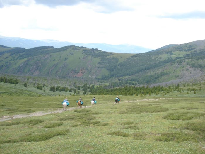 Expéditions en Altai