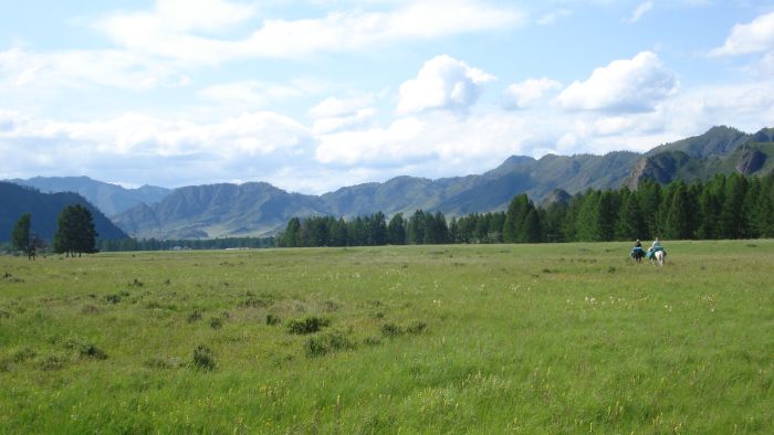 Expéditions en Altai