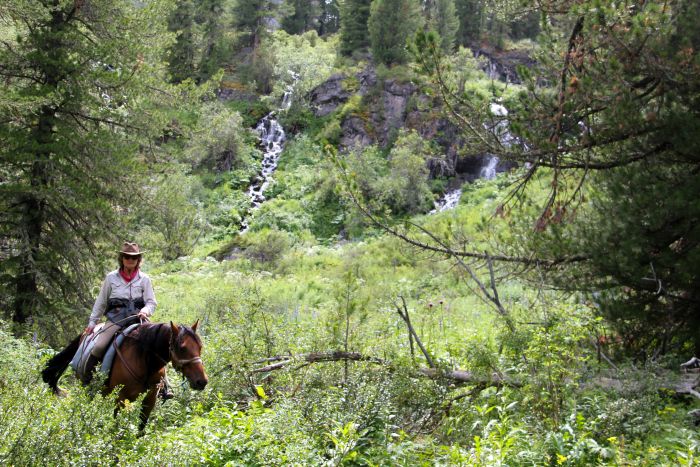 Expéditions en Altai
