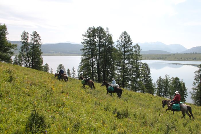 Expéditions en Altai