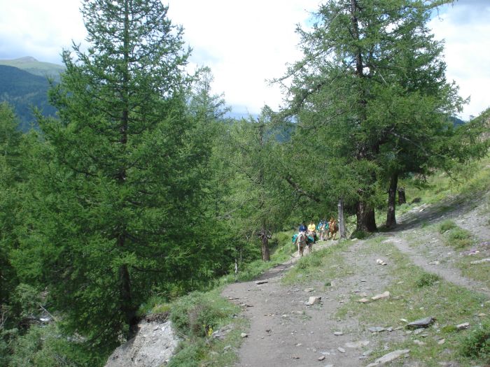 Expéditions en Altai