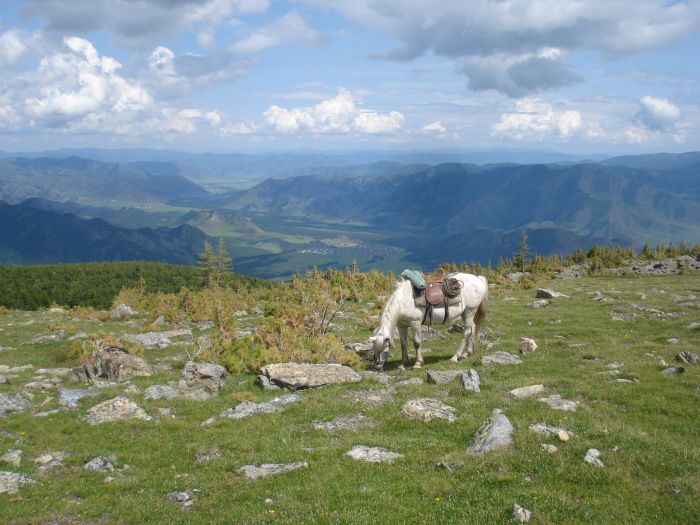 Expéditions en Altai