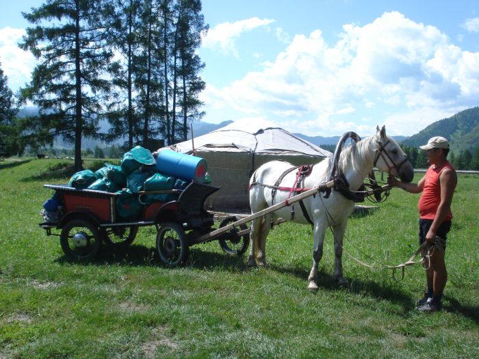 Expéditions en Altai