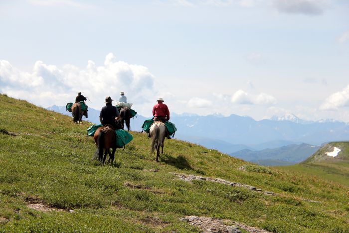 Expéditions en Altai