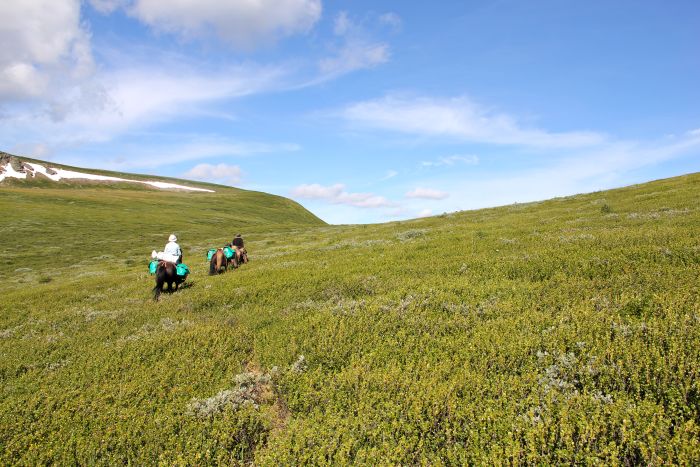 Expéditions en Altai