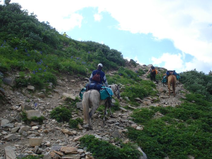 Expéditions en Altai
