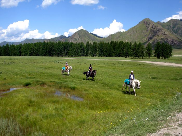 Expéditions en Altai