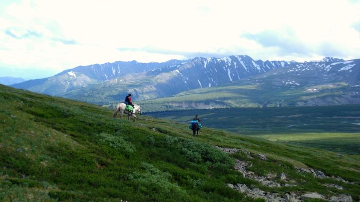 Expéditions en Altai