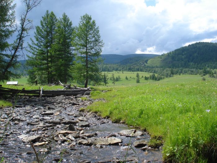 Expéditions en Altai