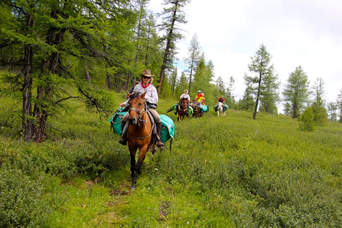 Expéditions en Altai