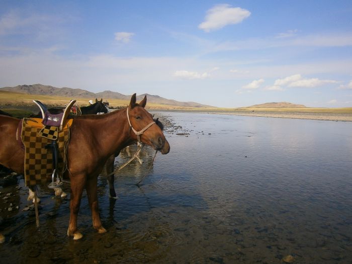 Mongolie centrale et steppes nomades