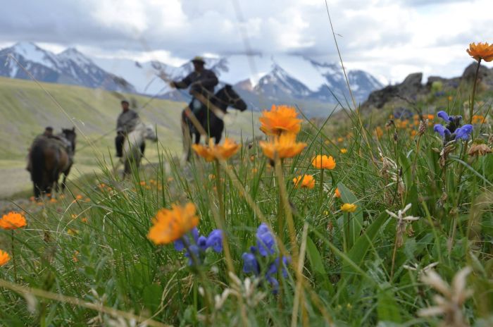 Montagnes de l'Altaï : au pays des aigles