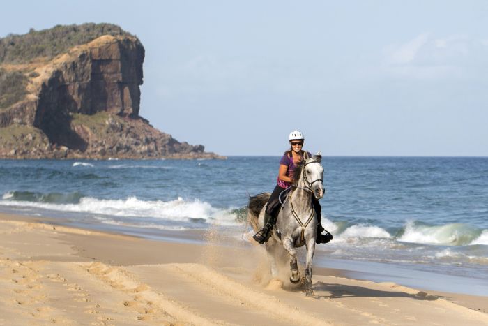 Plateau de Comboyne et balade sur la plage