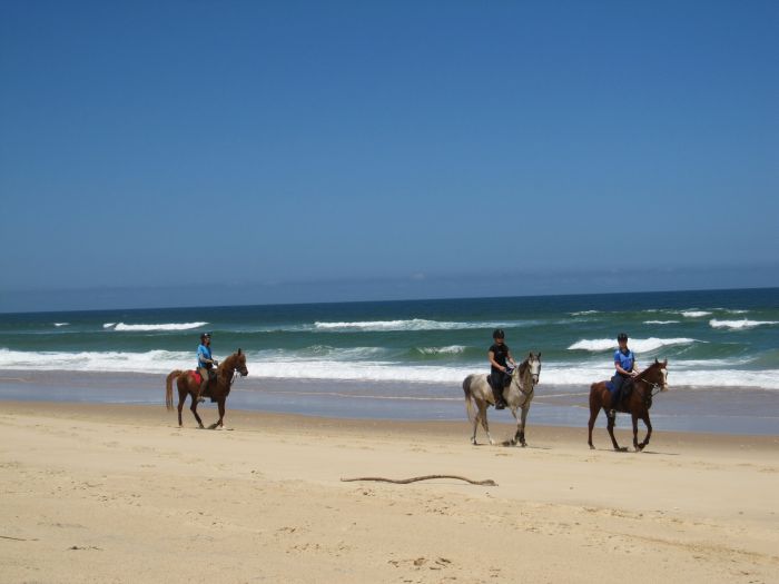 Plateau de Comboyne et balade sur la plage