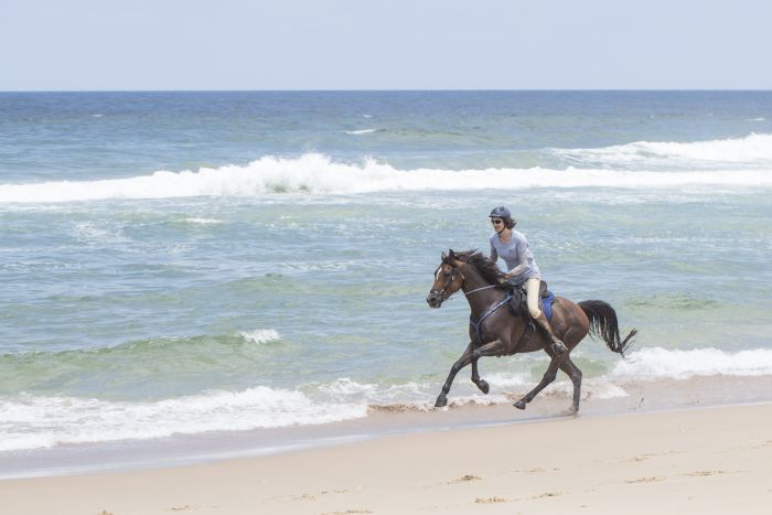 Plateau de Comboyne et balade sur la plage