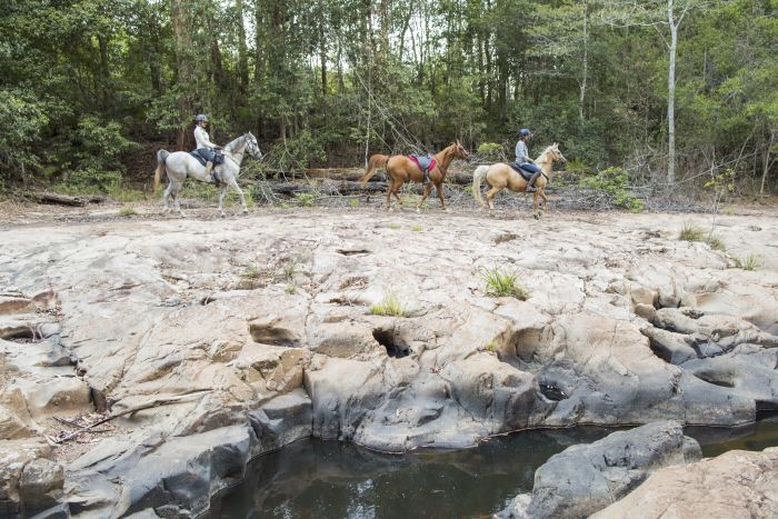 Plateau de Comboyne et balade sur la plage