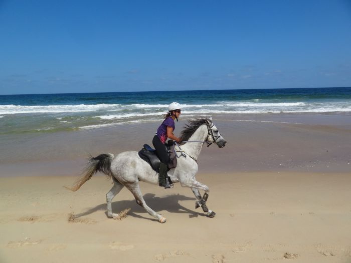 Plateau de Comboyne et balade sur la plage