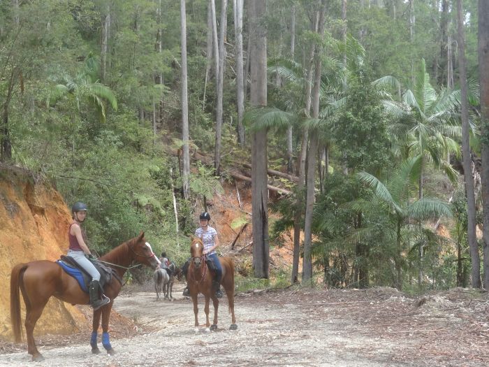 Plateau de Comboyne et balade sur la plage