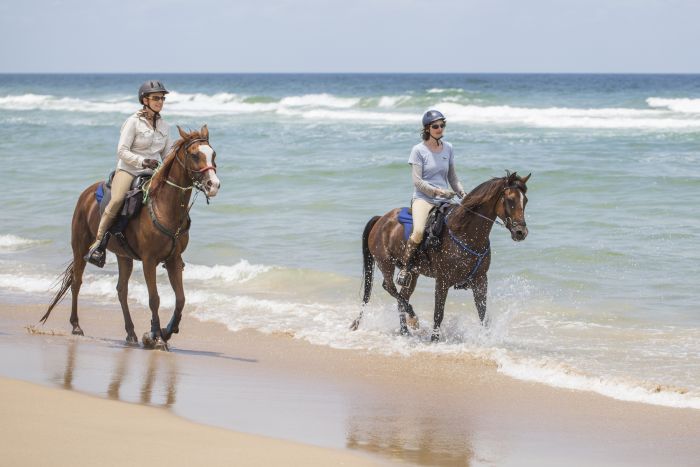 Plateau de Comboyne et balade sur la plage