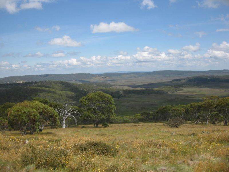 Montagnes enneigées & Parc national de Kosciuzsko