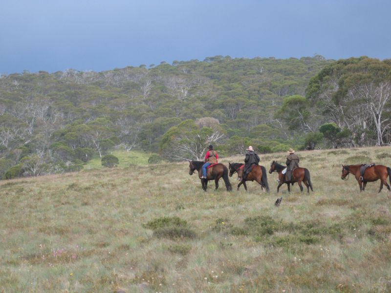 Montagnes enneigées & Parc national de Kosciuzsko