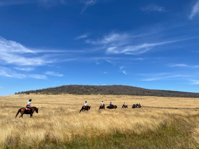 Montagnes enneigées & Parc national de Kosciuzsko