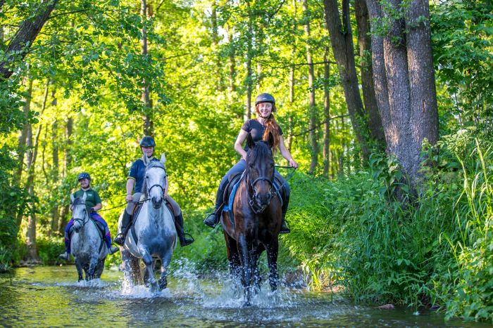 Châteaux historiques dans la Mazurie