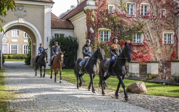 Châteaux historiques dans la Mazurie