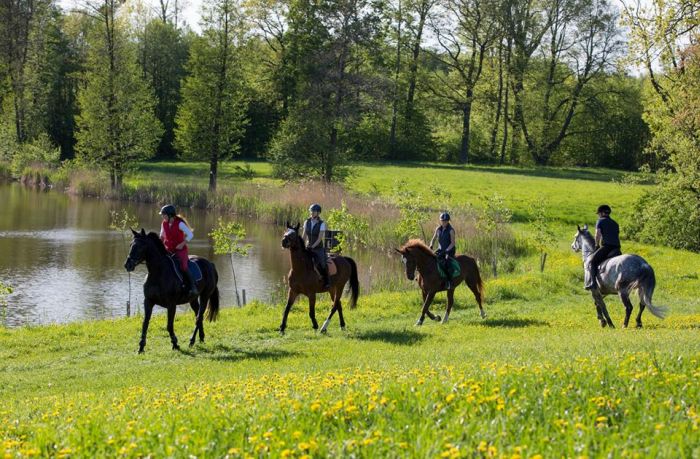 Châteaux historiques dans la Mazurie