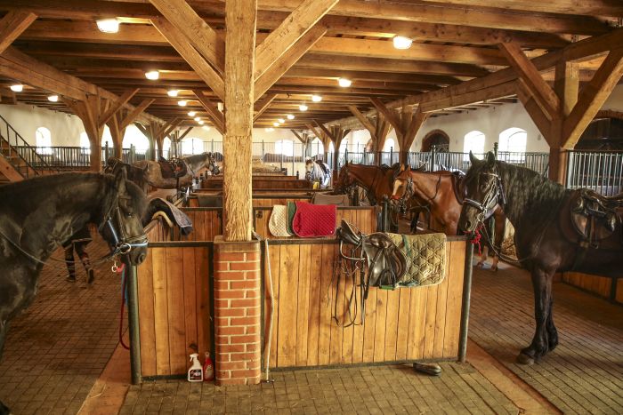 Châteaux historiques dans la Mazurie