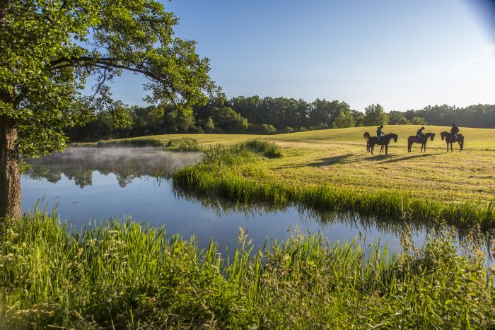 Châteaux historiques dans la Mazurie