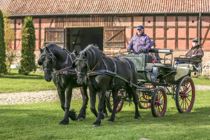 Châteaux historiques dans la Mazurie